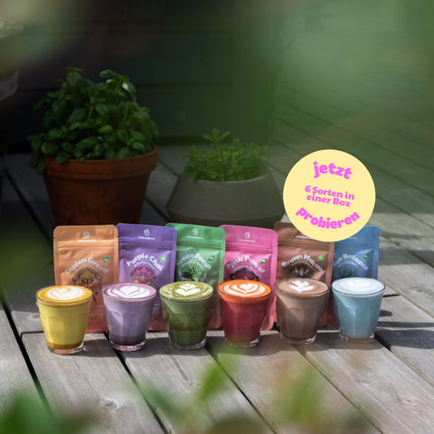 Botanical Blends Collection (6er Box) -  B2B